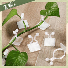 Reusable plant clips set for wall training and supporting plants