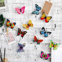 The Butterfly 3D Night Lamp Comes with 3D Illusion Design Suitable for Drawing Room, Lobby.n  (Loose)